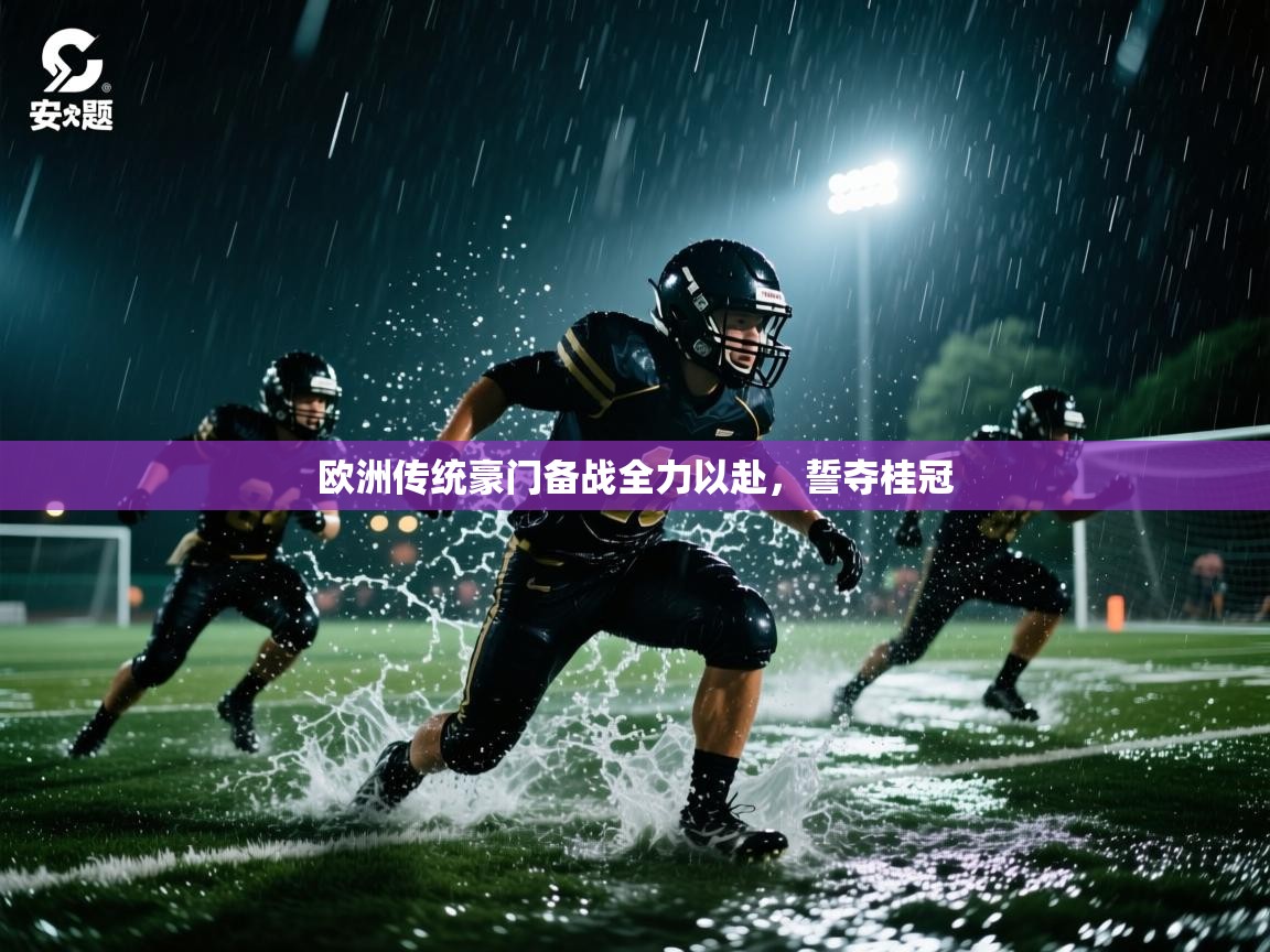 开云体育app评价-欧洲传统豪门备战全力以赴，誓夺桂冠  第2张
