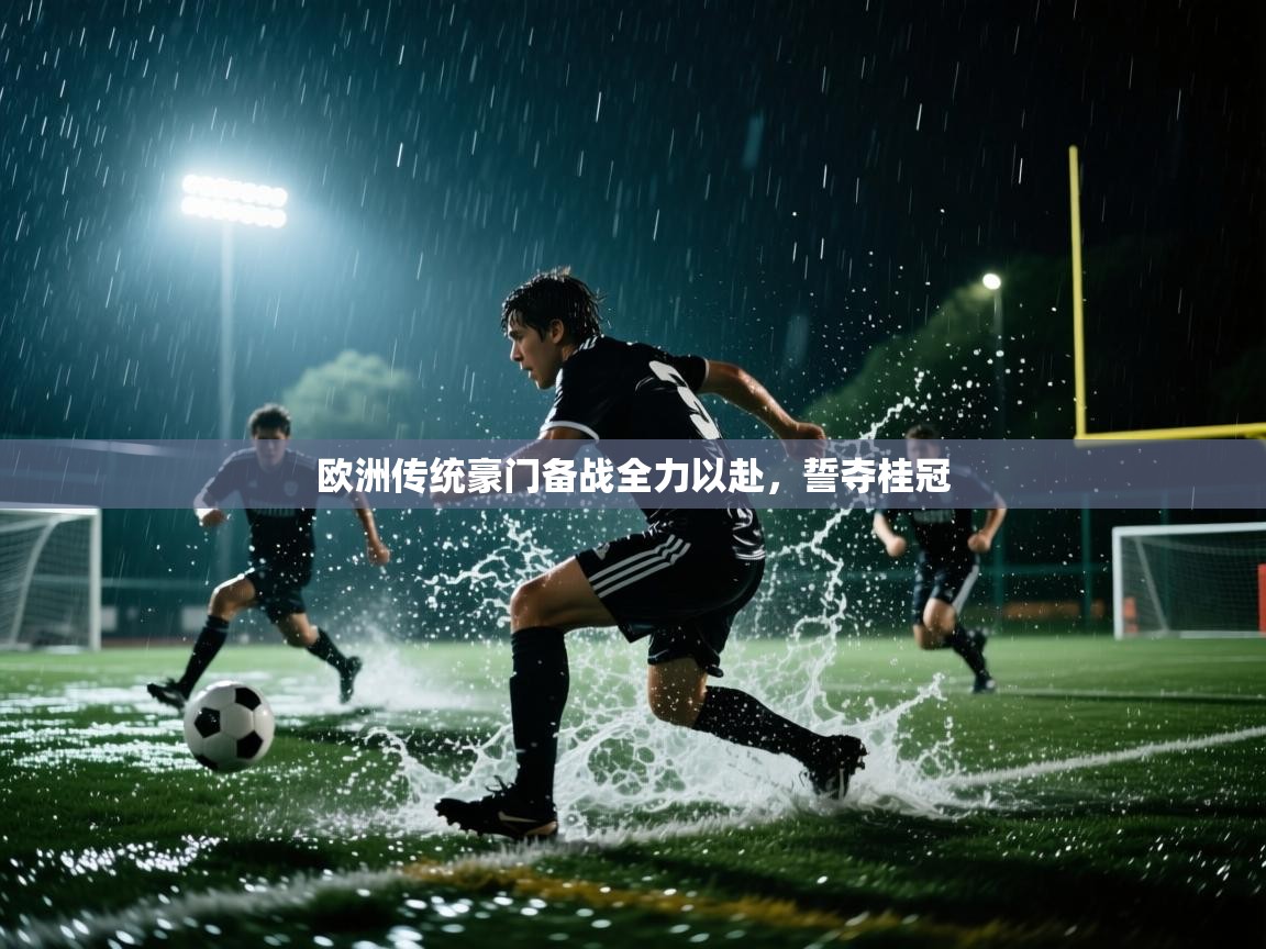 开云体育app评价-欧洲传统豪门备战全力以赴，誓夺桂冠  第4张