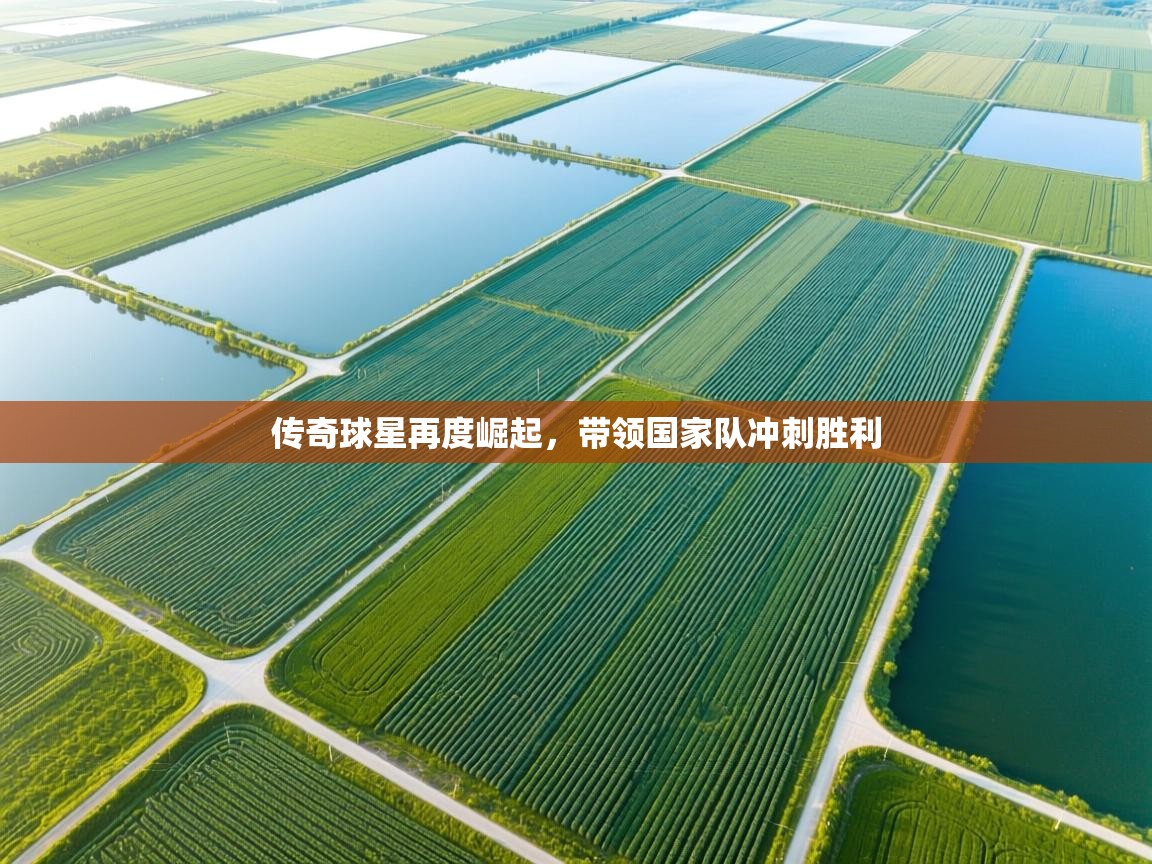 开云体育app下载官网-传奇球星再度崛起，带领国家队冲刺胜利  第4张